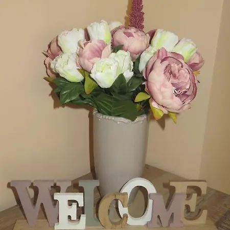 Two Bedroom Downtown Ivanovi